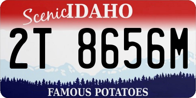 ID license plate 2T8656M