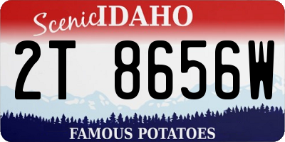 ID license plate 2T8656W