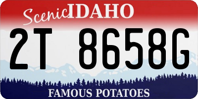 ID license plate 2T8658G