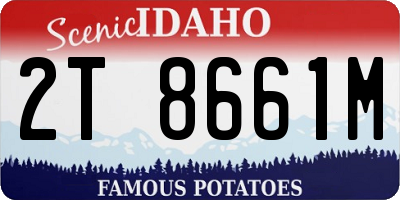 ID license plate 2T8661M