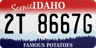 ID license plate 2T8667G