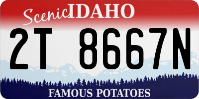 ID license plate 2T8667N