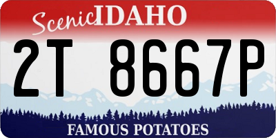 ID license plate 2T8667P
