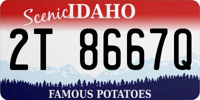 ID license plate 2T8667Q