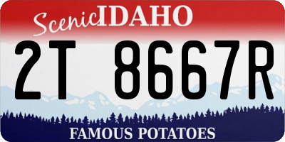 ID license plate 2T8667R