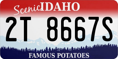 ID license plate 2T8667S