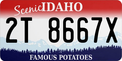 ID license plate 2T8667X