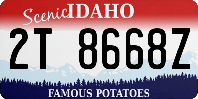 ID license plate 2T8668Z