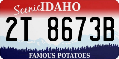 ID license plate 2T8673B