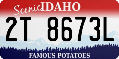 ID license plate 2T8673L