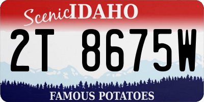 ID license plate 2T8675W