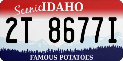 ID license plate 2T8677I