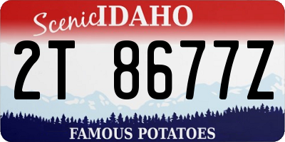 ID license plate 2T8677Z