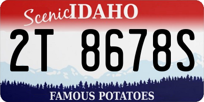 ID license plate 2T8678S