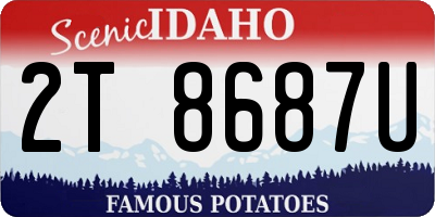 ID license plate 2T8687U