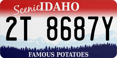 ID license plate 2T8687Y