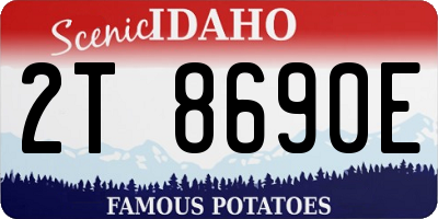 ID license plate 2T8690E