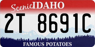 ID license plate 2T8691C