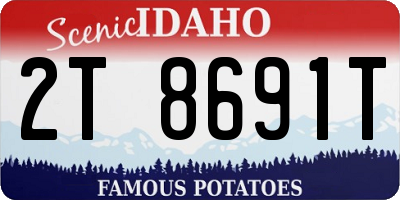 ID license plate 2T8691T
