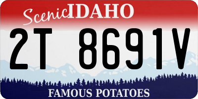 ID license plate 2T8691V
