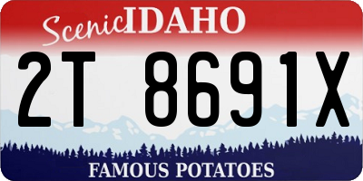 ID license plate 2T8691X