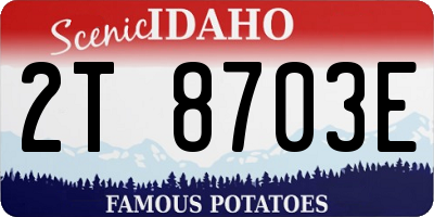 ID license plate 2T8703E