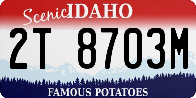 ID license plate 2T8703M