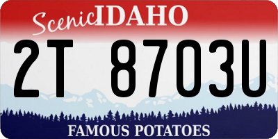 ID license plate 2T8703U