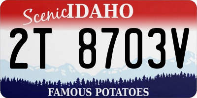 ID license plate 2T8703V