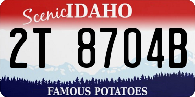 ID license plate 2T8704B