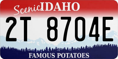 ID license plate 2T8704E