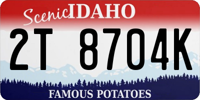 ID license plate 2T8704K