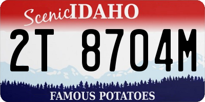 ID license plate 2T8704M