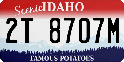 ID license plate 2T8707M