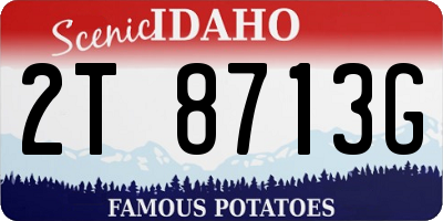 ID license plate 2T8713G