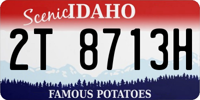 ID license plate 2T8713H