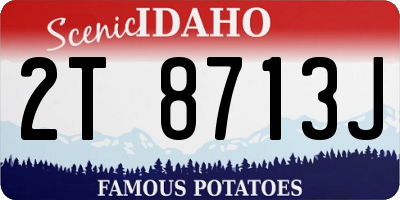 ID license plate 2T8713J