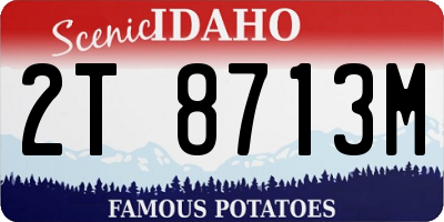 ID license plate 2T8713M