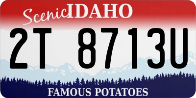 ID license plate 2T8713U