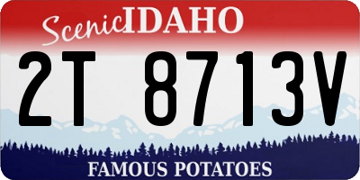 ID license plate 2T8713V