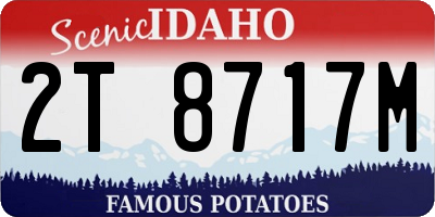 ID license plate 2T8717M