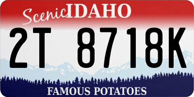ID license plate 2T8718K