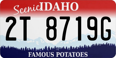 ID license plate 2T8719G
