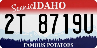 ID license plate 2T8719U