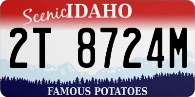 ID license plate 2T8724M