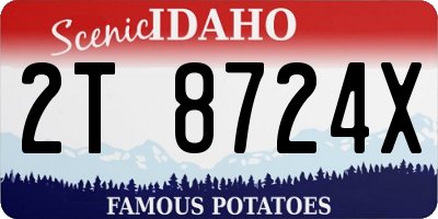 ID license plate 2T8724X