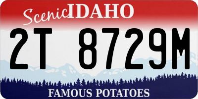 ID license plate 2T8729M