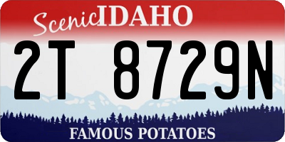 ID license plate 2T8729N