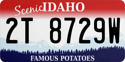 ID license plate 2T8729W
