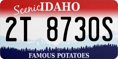 ID license plate 2T8730S